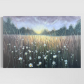 Sun Rise Field of Daisies